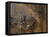 Door Lock, Vogo Stave Church, Vagamo, Norway-Russell Young-Framed Stretched Canvas