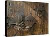 Door Lock, Vogo Stave Church, Vagamo, Norway-Russell Young-Stretched Canvas