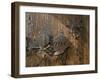 Door Lock, Vogo Stave Church, Vagamo, Norway-Russell Young-Framed Photographic Print