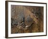 Door Lock, Vogo Stave Church, Vagamo, Norway-Russell Young-Framed Photographic Print