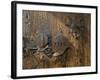 Door Lock, Vogo Stave Church, Vagamo, Norway-Russell Young-Framed Photographic Print