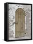 Door Made of Palm Wood, Toconao, Chile-null-Framed Stretched Canvas