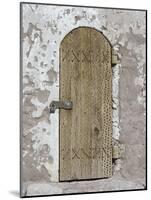 Door Made of Palm Wood, Toconao, Chile-null-Mounted Photographic Print