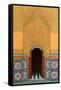 Door, Marrakech, 1998-Larry Smart-Framed Stretched Canvas