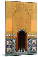 Door, Marrakech, 1998-Larry Smart-Mounted Giclee Print