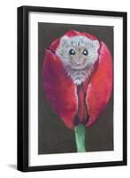 Door Mouse in Tulip, 2022 (Pastel)-Margo Starkey-Framed Giclee Print