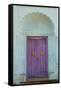 Door, Murshidabad, Former Capital of Bengal, West Bengal, India, Asia-Bruno Morandi-Framed Stretched Canvas