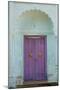 Door, Murshidabad, Former Capital of Bengal, West Bengal, India, Asia-Bruno Morandi-Mounted Premium Photographic Print