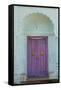 Door, Murshidabad, Former Capital of Bengal, West Bengal, India, Asia-Bruno Morandi-Framed Stretched Canvas