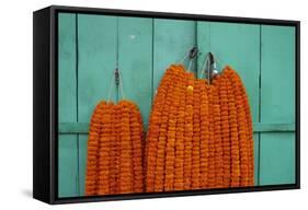 Door, Padlock and Flower Garlands, Kolkata (Calcutta), West Bengal, India, Asia-Bruno Morandi-Framed Stretched Canvas