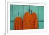 Door, Padlock and Flower Garlands, Kolkata (Calcutta), West Bengal, India, Asia-Bruno Morandi-Framed Photographic Print