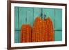 Door, Padlock and Flower Garlands, Kolkata (Calcutta), West Bengal, India, Asia-Bruno Morandi-Framed Photographic Print