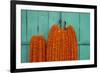 Door, Padlock and Flower Garlands, Kolkata (Calcutta), West Bengal, India, Asia-Bruno Morandi-Framed Photographic Print