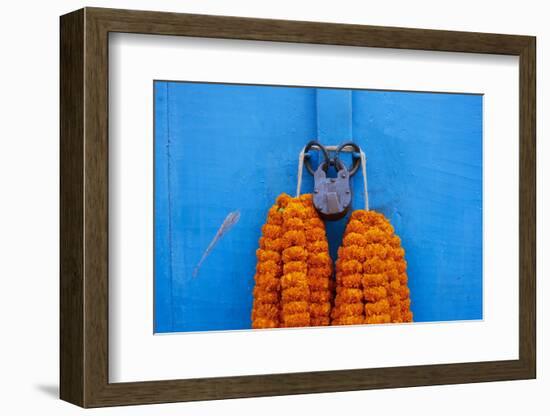 Door, Padlock and Flower Garlands, Kolkata (Calcutta), West Bengal, India, Asia-Bruno Morandi-Framed Photographic Print