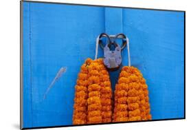 Door, Padlock and Flower Garlands, Kolkata (Calcutta), West Bengal, India, Asia-Bruno Morandi-Mounted Photographic Print