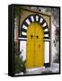 Door, Sidi Bou Said, Near Tunis, Tunisia, North Africa, Africa-Ethel Davies-Framed Stretched Canvas