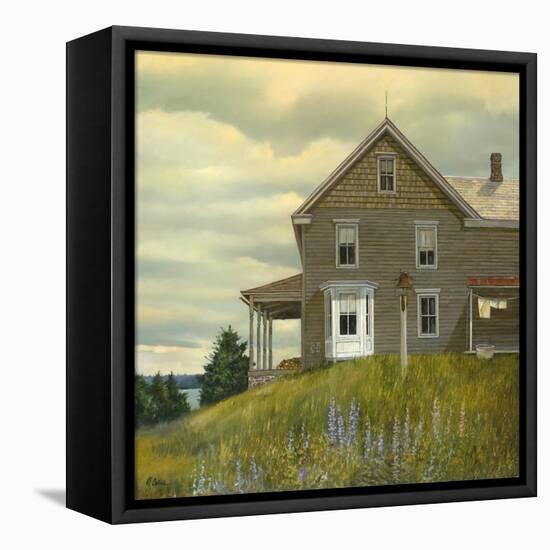 Door yard Lupines-Jerry Cable-Framed Stretched Canvas