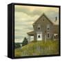 Door yard Lupines-Jerry Cable-Framed Stretched Canvas