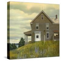 Door yard Lupines-Jerry Cable-Stretched Canvas