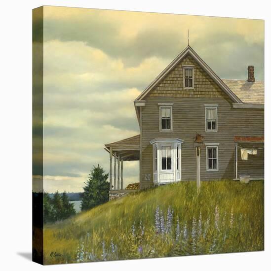 Door yard Lupines-Jerry Cable-Stretched Canvas