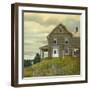 Door yard Lupines-Jerry Cable-Framed Giclee Print