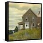 Door yard Lupines-Jerry Cable-Framed Stretched Canvas