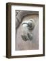 Doorknocker, Macon, Burgundy, France-Jim Engelbrecht-Framed Photographic Print