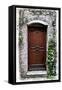 Doors of Europe II-Rachel Perry-Framed Stretched Canvas