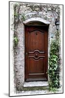 Doors of Europe II-Rachel Perry-Mounted Photographic Print