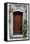 Doors of Europe II-Rachel Perry-Framed Stretched Canvas