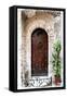 Doors of Europe III-Rachel Perry-Framed Stretched Canvas