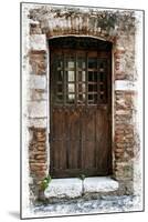 Doors of Europe IV-Rachel Perry-Mounted Photographic Print