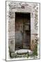 Doors of Europe XIV-Rachel Perry-Mounted Photographic Print