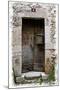 Doors of Europe XIV-Rachel Perry-Mounted Photographic Print