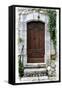 Doors of Europe XVIII-Rachel Perry-Framed Stretched Canvas