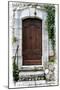 Doors of Europe XVIII-Rachel Perry-Mounted Photographic Print