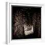 Doorway and Passage in Medieval Castle Ruins-Clive Nolan-Framed Photographic Print