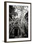 Doorway and Roots I-Erin Berzel-Framed Photographic Print