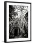 Doorway and Roots I-Erin Berzel-Framed Photographic Print