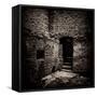 Doorway and Steps in Castle Ruins-Clive Nolan-Framed Stretched Canvas