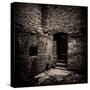 Doorway and Steps in Castle Ruins-Clive Nolan-Stretched Canvas