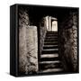 Doorway and Steps in Castle Ruins-Clive Nolan-Framed Stretched Canvas