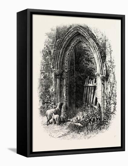 Doorway at Rivaux Abbey, UK-null-Framed Stretched Canvas