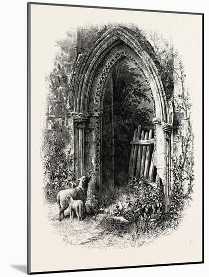 Doorway at Rivaux Abbey, UK-null-Mounted Giclee Print