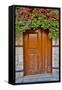 Doorway in Antalya, Turkey-Darrell Gulin-Framed Stretched Canvas