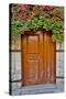 Doorway in Antalya, Turkey-Darrell Gulin-Stretched Canvas