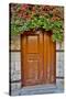 Doorway in Antalya, Turkey-Darrell Gulin-Stretched Canvas