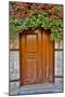 Doorway in Antalya, Turkey-Darrell Gulin-Mounted Photographic Print