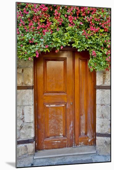 Doorway in Antalya, Turkey-Darrell Gulin-Mounted Photographic Print