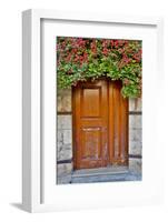 Doorway in Antalya, Turkey-Darrell Gulin-Framed Photographic Print